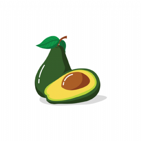 Avocat (cal 16)