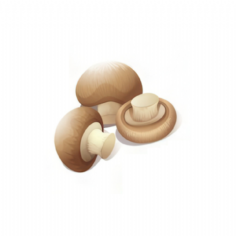 Champignons Paris (brun)