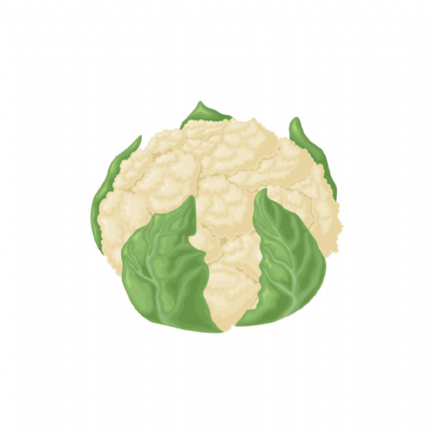 Choux Chou fleur