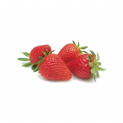 Fraise Marra des bois