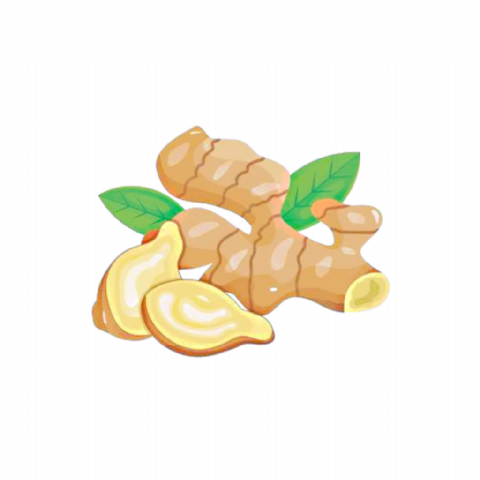 Gingembre