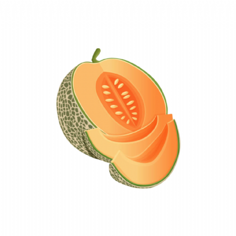 Melon (cal 12)