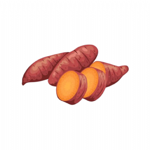 Patate douce