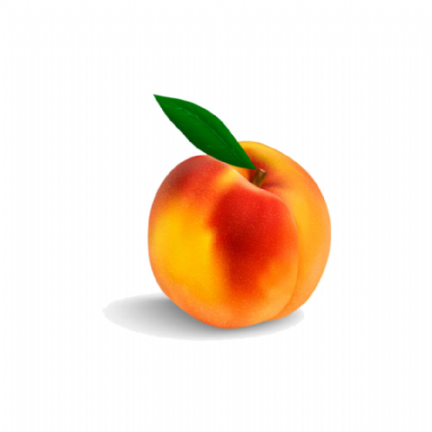 Pêche