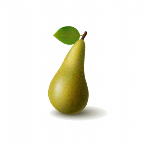 Poire Conference