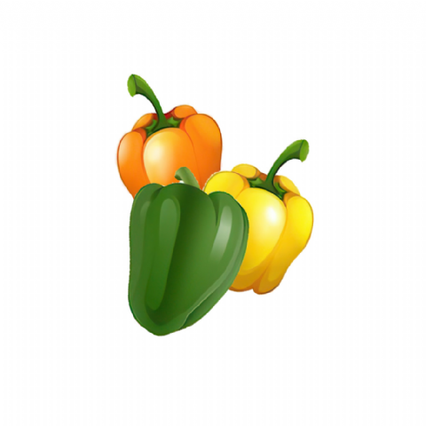 Poivron