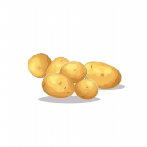 Pomme de terre Grenaille