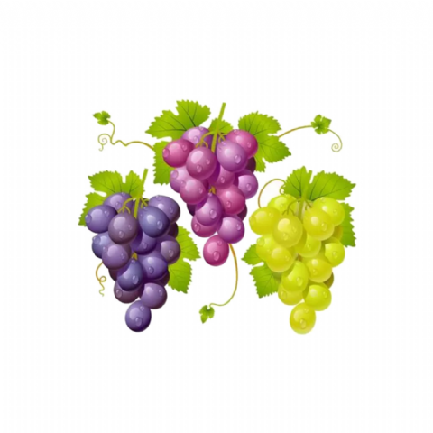 Raisin Italien