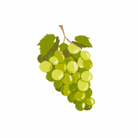 Raisin Sans pépin